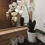شقة Gaberhof تارينز